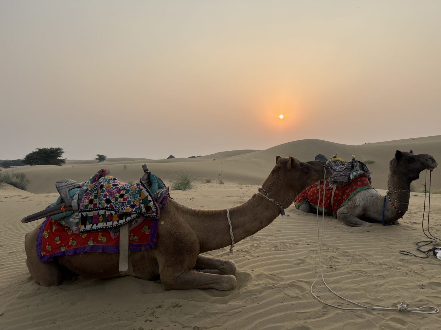 Original photograph from travels in India