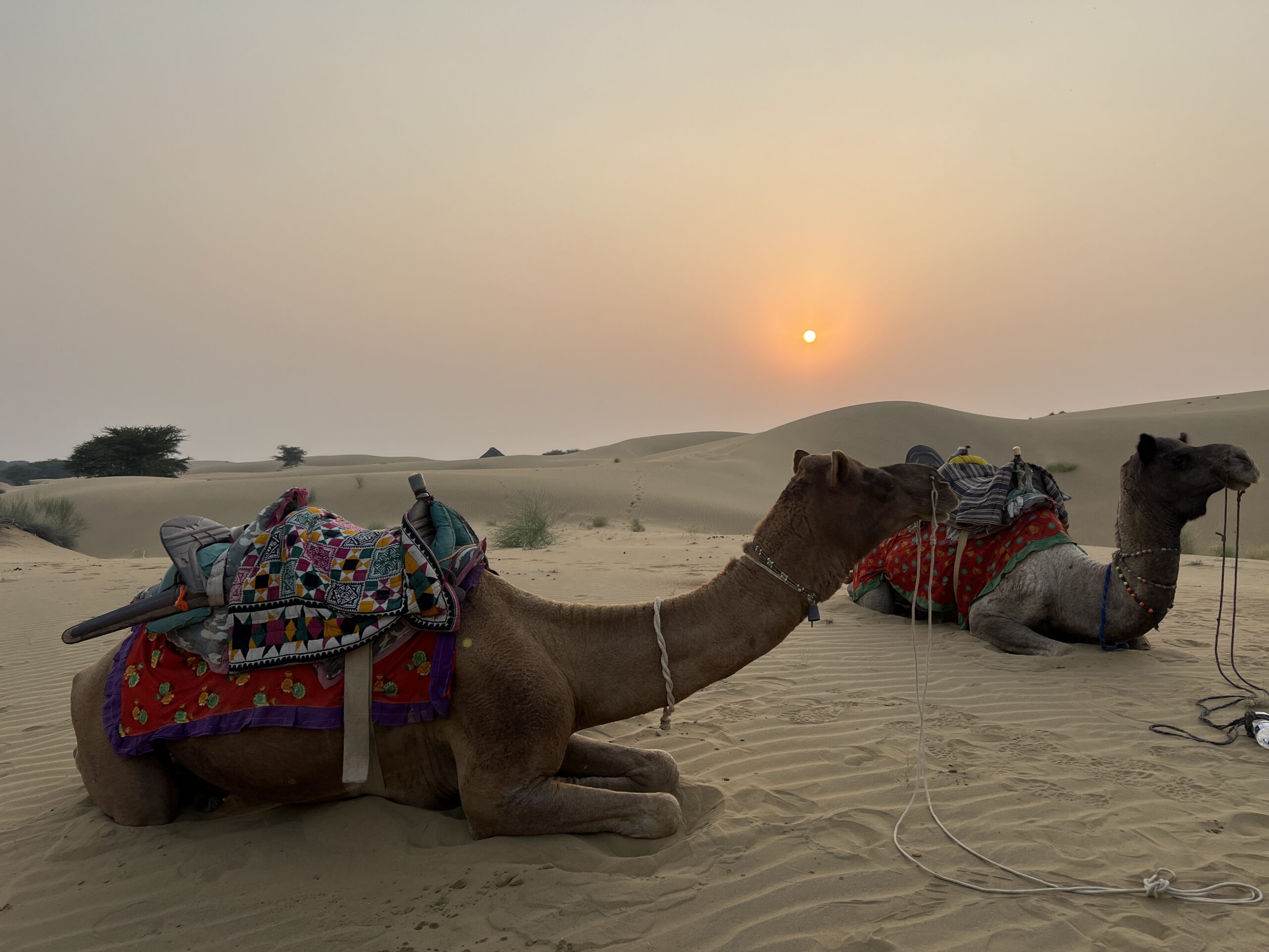 Original photograph from travels in India