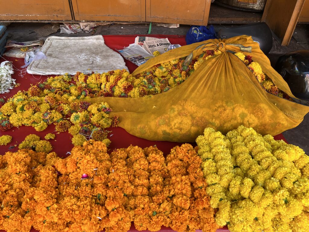Original India travel photograph