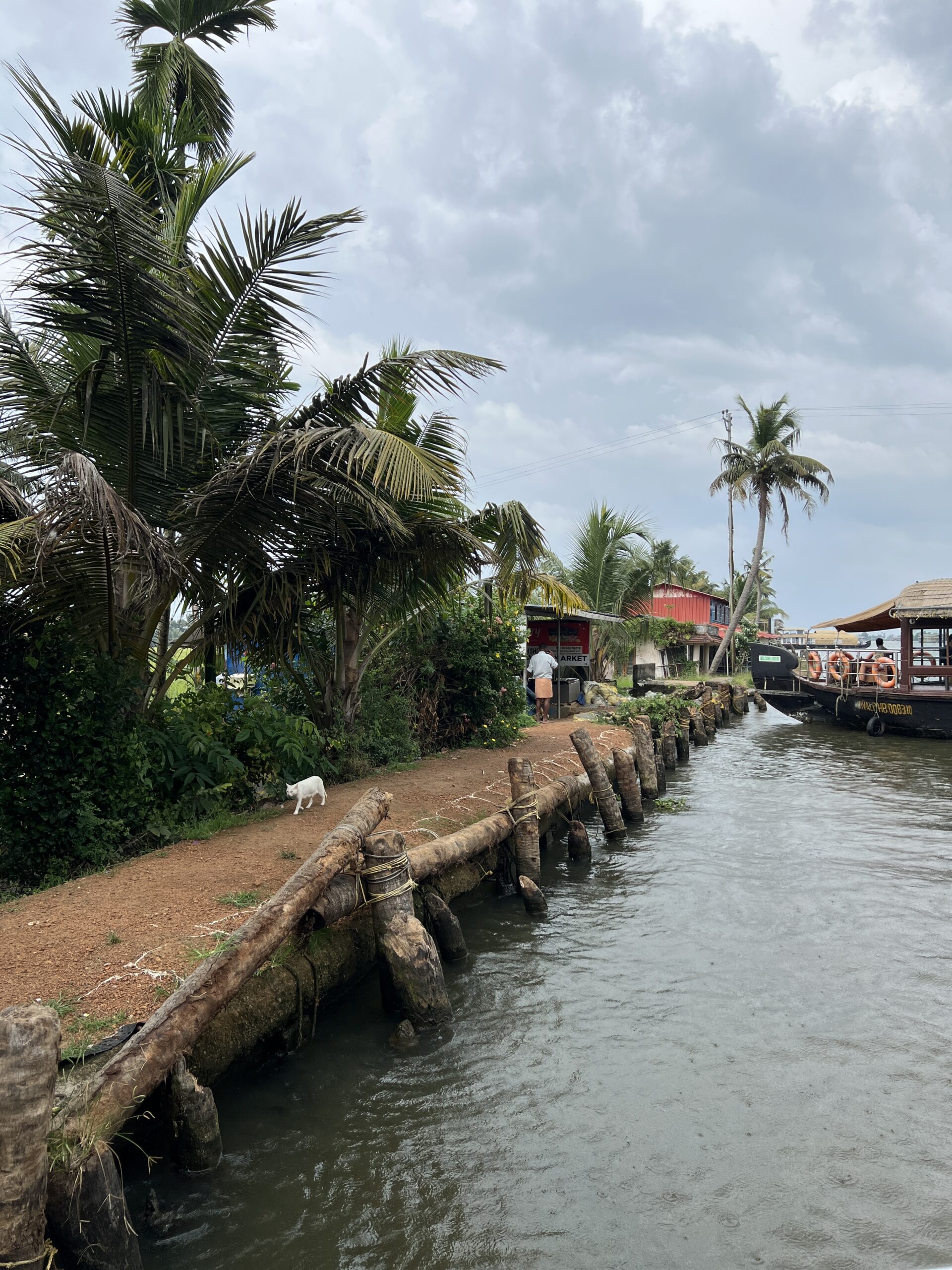 Dark monsoon storm clouds above a palm-lined waterway and boat on Vembanad Lake in Kerala, India